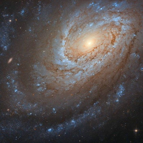 The Disco At The End Of The Universe