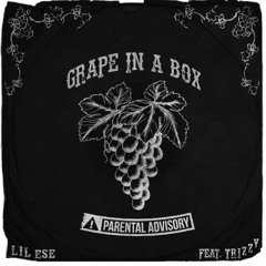Lil Ese - Grape In A Box Ft. Trizzy (Otto-Tune Tyrone Diss)