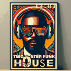 Two Step Funk House