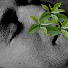 tall as a sleeping man-naviarhaiku626