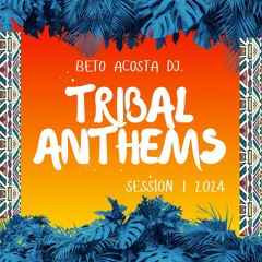 TRIBAL ANTHEMS SESSION 2024 - PARTE 1