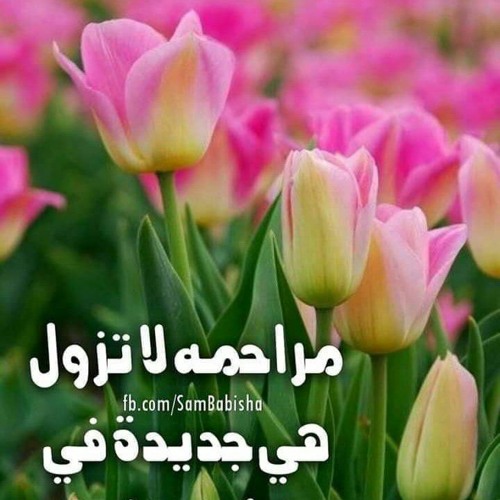 ترنيمه عارف دلوقتي خلاص♥
