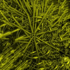 VV.AA. ✮ Antitracks A [preview mixxx]