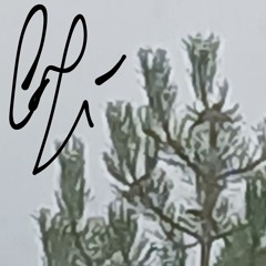lofi skillset
