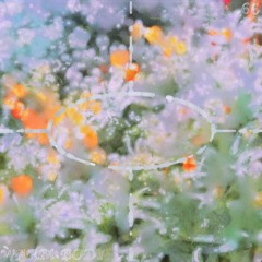 Living Room n°66 ~ Warm Body