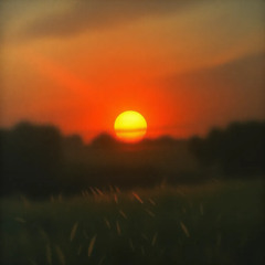 1998 秋、それは小さな死。  3