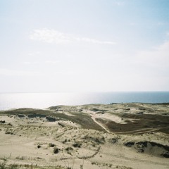Dream Of Endlessness feat. Sãvastis