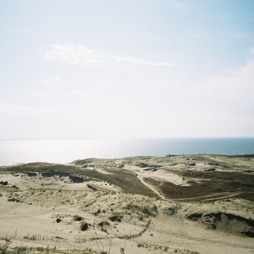Dream Of Endlessness feat. Sãvastis