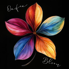 Bloom