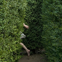 Ngày này năm ấy - Thành Đồng