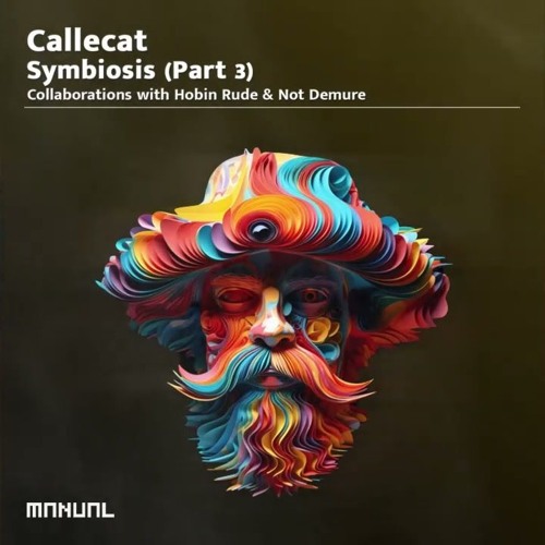 Callecat  Not Demure - Recurring Phases