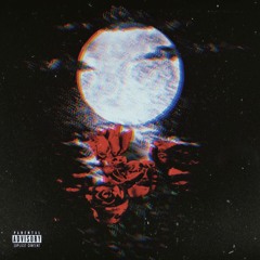 Hallow Rose ~ Novacane