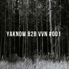 Yaknow b2b VVN #001