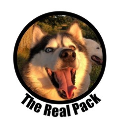 The Real Pack - Wie der Hund wirklich funktioniert ... ein Hörbüchlein