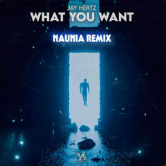 JAY HERTZ-WHAT YOU WANT(NAUNIA REMIX)**FREE DOWNLOAD**
