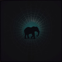 The elephant and the spider web (spoken poetry)
