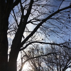 The Greatest Gift (Sufjan Stevens Cover)