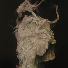 Bear Fruit (feat.XENOverse)