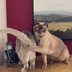 GenorixX - Milkyway .mp3