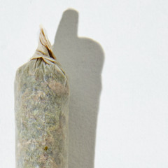 SNARL - FOR DA CULTURE (DIRECT DL)