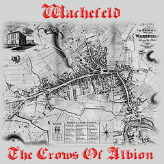 WACHEFELD