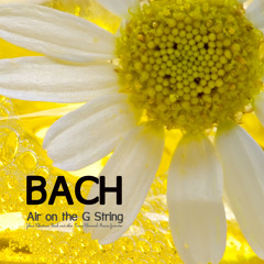 Bach - Book 1 - Fugue n24 Classical Piano Music