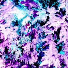life is a delusion mix lol -- hard deconstructed club trance bass