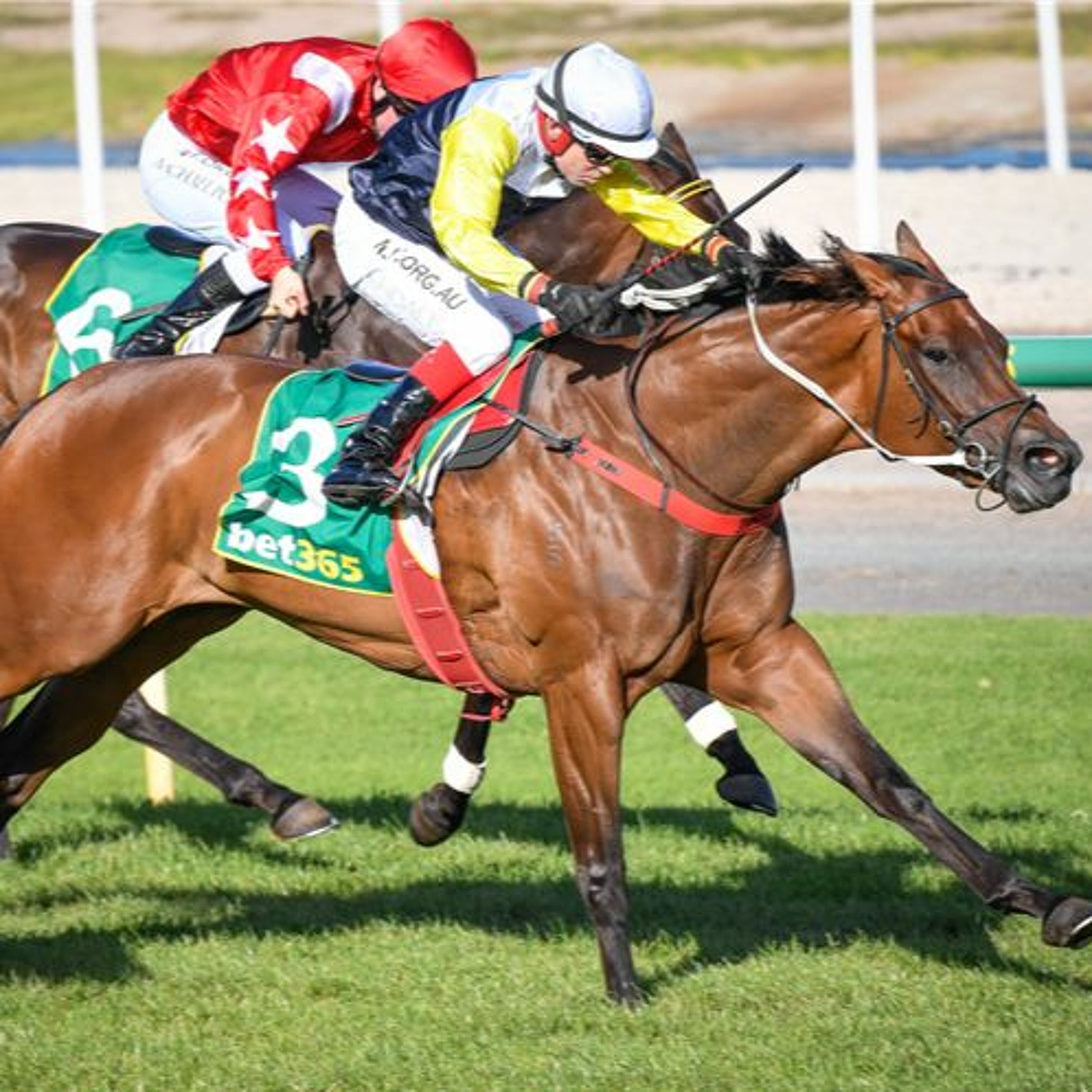 Sandown 10th Of March Midweek Punting Preview