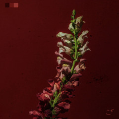 save yourself (SNIPPET)