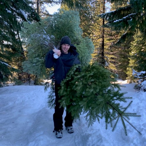 Stream Find that perfect Christmas tree in Oregon forests for just 5