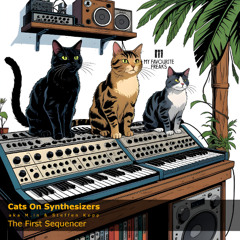 Cats On Synthesizers - Long Forgotten Song