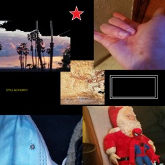 17 - - - Indentured Servitude