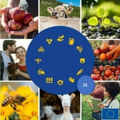 32. #CAP : CAP’s economic pillar: supporting livelihoods and sustainable growth