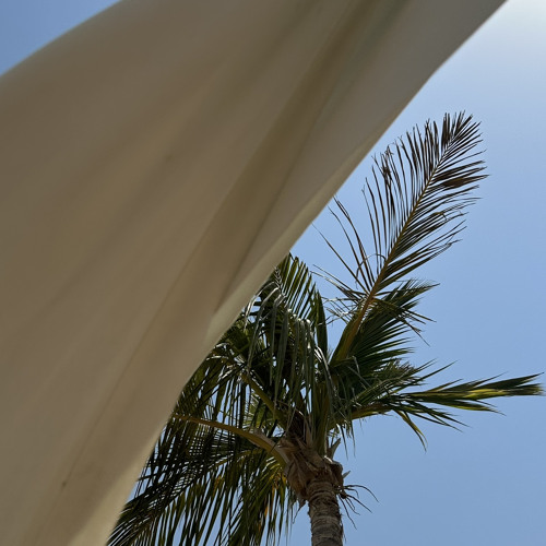 مـجـيـديـات