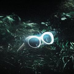 Audio Described introduction for Last Days