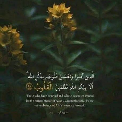 ﴿ألا بذكرِ اللّٰهِ تطمئِنُ القلوب﴾  عثمان المكي
