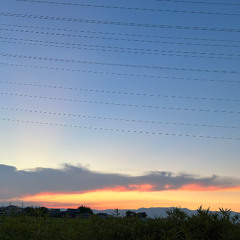 A lifetime respect for anime…