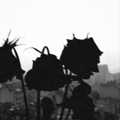 She want flowers