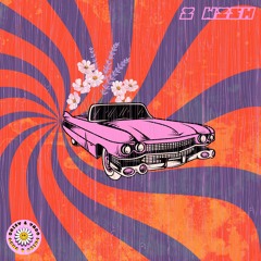 skee lo - i wish (daisy&yaro remix)