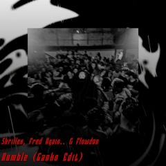 Skrillex, Fred Again & Flowdan - Rumble (Ganko Edit)