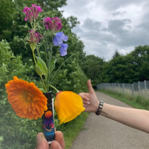 🌼I-Wish-These-Moments-Would-Never-End 🌸