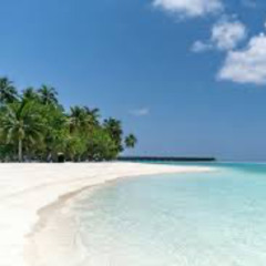 soul in the beach 2025