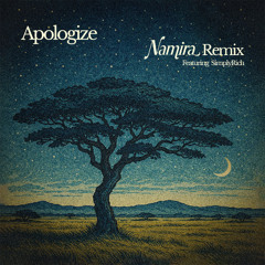 Apologize - Namira Remix feat. SimplyRich (Radio Edit)