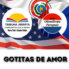 11 08 2024 - GOTITAS DE AMOR- Programa Completo