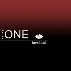 𝗪𝗲 𝗔𝗿𝗲 𝗢𝗻𝗲 - Interpretation by BarnåbuS