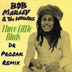 Bob Marley - Three Little Birds (Dr Prozak Bootleg) FREE DOWNLOAD