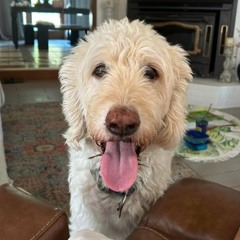 Mix Series 4 - Wrigley