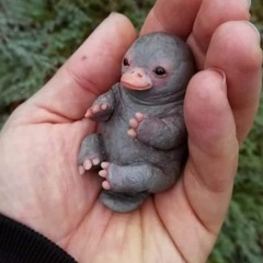 no surprises - gem cover