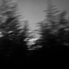 Maja Petrovic - Take Off