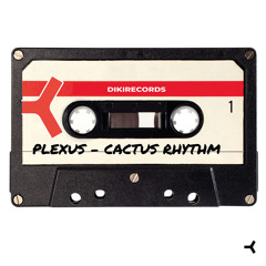 Cactus Rhythm (The Stunned Guys Rmx)